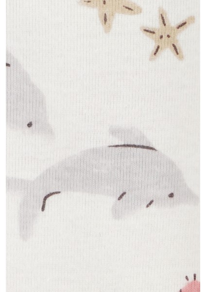 Layette Kız Bebek Kısa Kollu Body 5'li Paket fırsatları