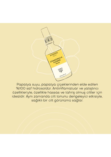 Papatya Suyu – Saf Hidrosol (100 ml)