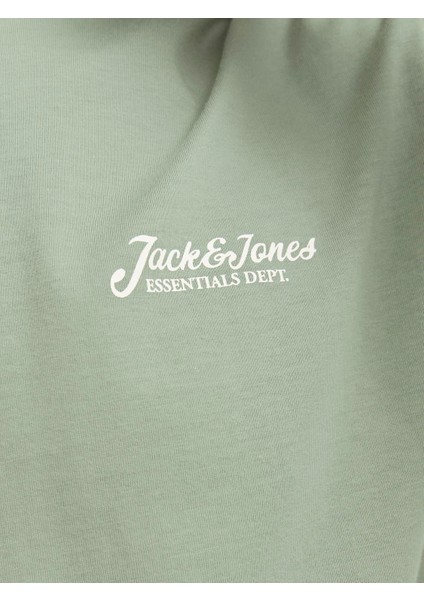Jjbeau Tee Ss Frontprınt Crew Neck Ln Erkek T-Shirt fiyatları