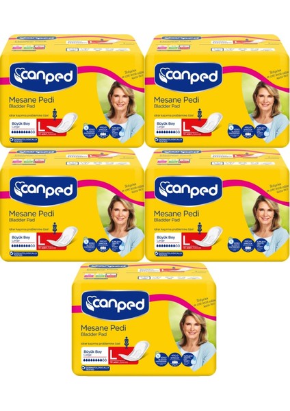 Mesane Pedi Klasik L - Large - Büyük Boy 50 Adet (5pk*10)