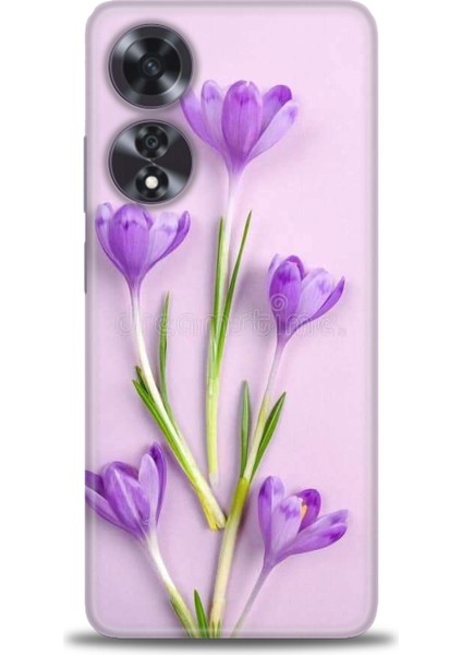Oppo A60 Ile Uyumlu Hd Baskılı Silikon (Ortasertlikte) Kılıf - 753