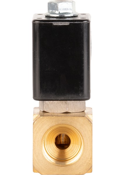 220 V AC Takoz Gövde Solenoid Valf Normalde Kapalı 3/8"(0-25 BAR)
