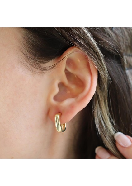 Kare Oval Gold Kaplama Gümüş Küpe fiyatları