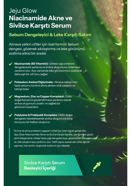 Yağlanma Akne ve Siyah Nokta Karşıtı Serum 30 ml