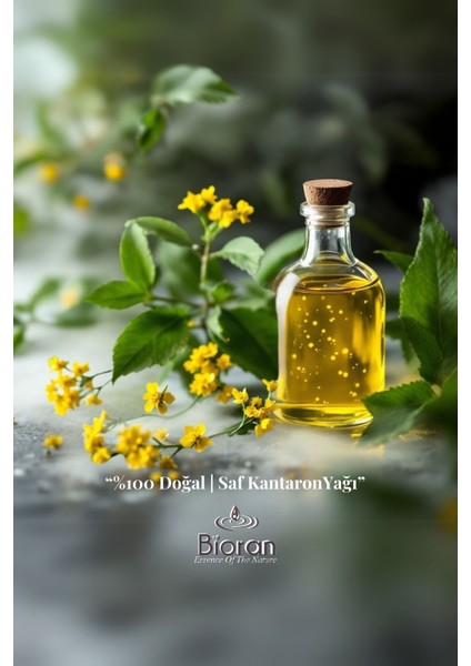 Sarı Kantaron Yağı 50 ml - Doğal Cilt ve Vücut Bakımı