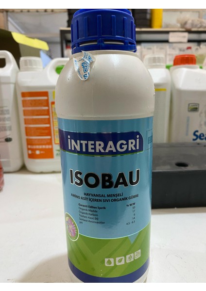 Isobau