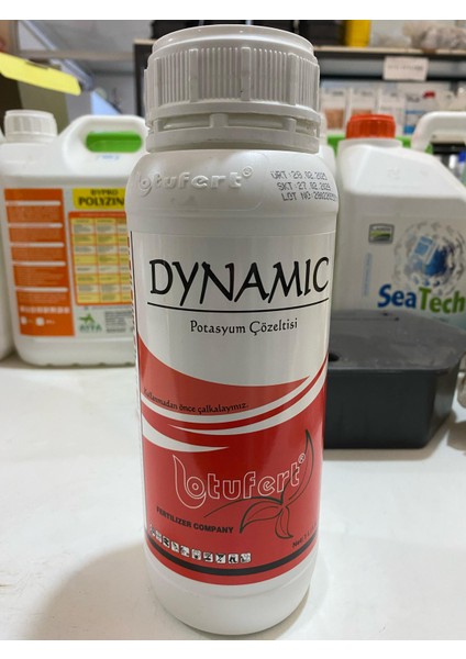 Dynamıc