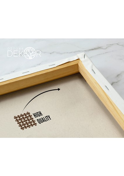 Mermer Görünümlü Kadın Yüzü Kanvas TABLOSU50 x 70 -70 x 100 Ölçü Seçenekleri