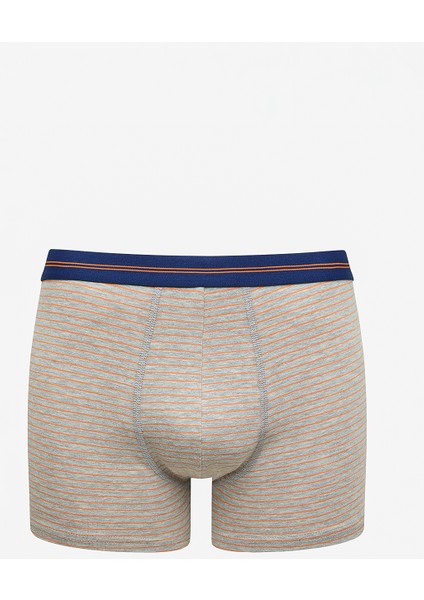 Bts 3lü Boxer