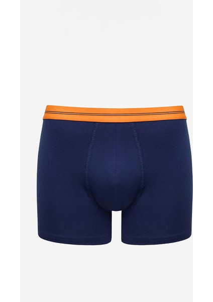 Bts 3lü Boxer