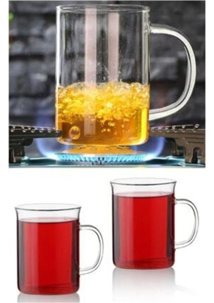 6lı Termisil Cam Borosilikat Kupa Bardak Çay Fincanı fiyatları