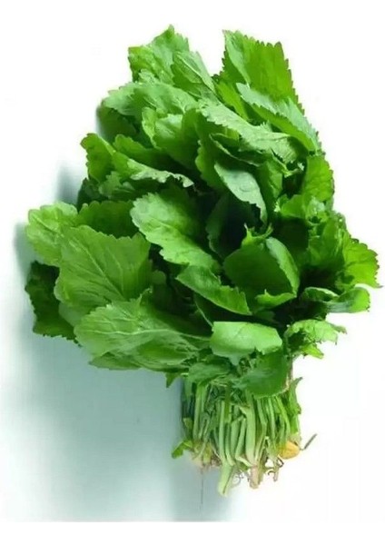 Ata Tohum Geniş Yaprak Anadolu Tere Tohumu (100 Tohum)