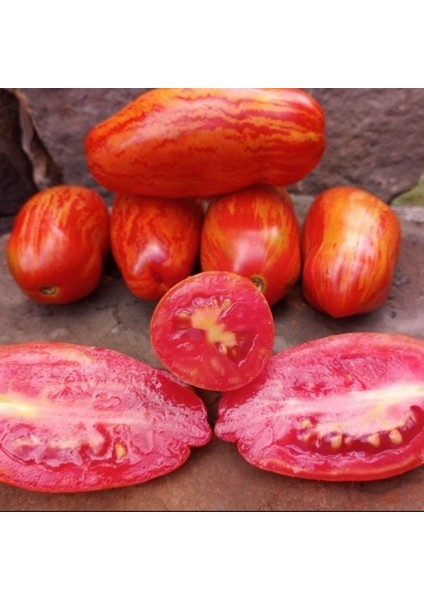 Casady's Folly Alacalı Domates Tohumu (15 Tohum)