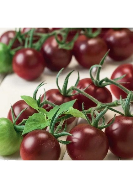 Aroması Yüksek Chocolate Cherry Domates Tohumu (15 Tohum)