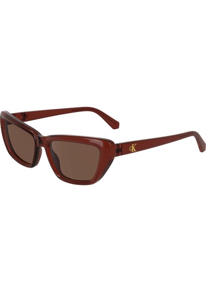 CKJ24623S 618 55 Kadın Güneş Gözlüğü