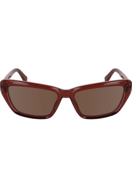 CKJ24623S 618 55 Kadın Güneş Gözlüğü fiyatları