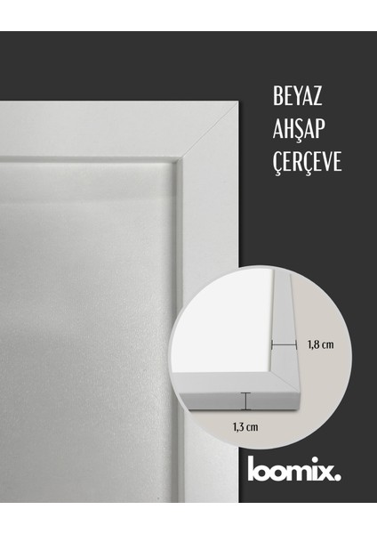 Ahşap Çerçeveli 3 Lü Soyut Tablo Home Ev Dekor 35x50 beyaz indirimleri