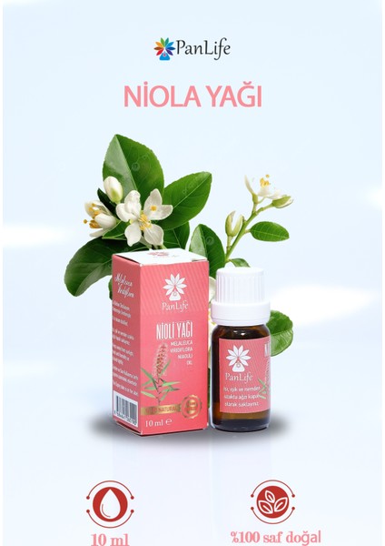 Panlıfe Nioli Yağı 10ML ( Niaouli ) %100 Saf Analiz Sertifikalı ( Markamız Eczane Kuruluşudur. )