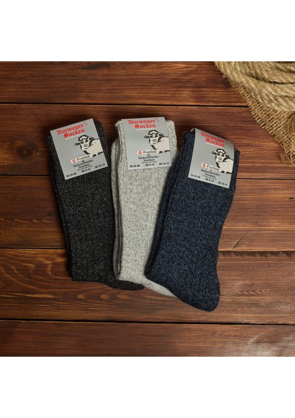 Yünlü Taban Altı Havlulu Termal Erkek Çorabı 6001-6004 indirimleri