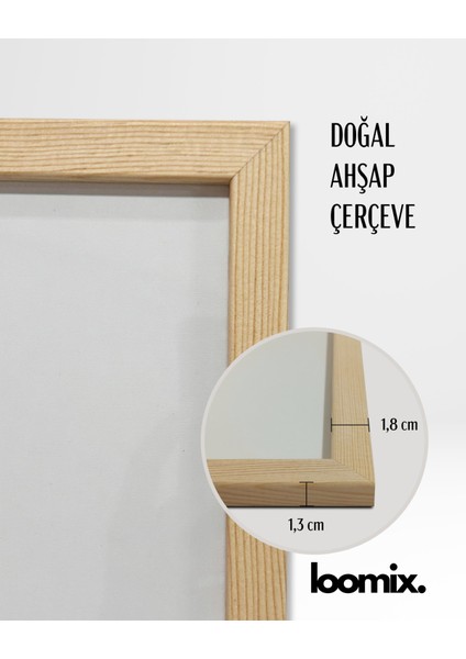 Ahşap Çerçeveli 3 Lü Soyut Tablo Home Ev Dekor 15x21 Ahşap Renk fırsatları