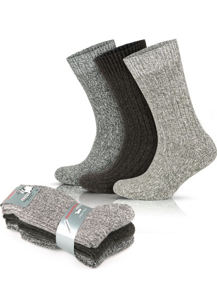 3'lü Norveç Tipi Yünlü Taban Altı Havlulu Kışlık Termal Erkek Çorabı 6001-6004