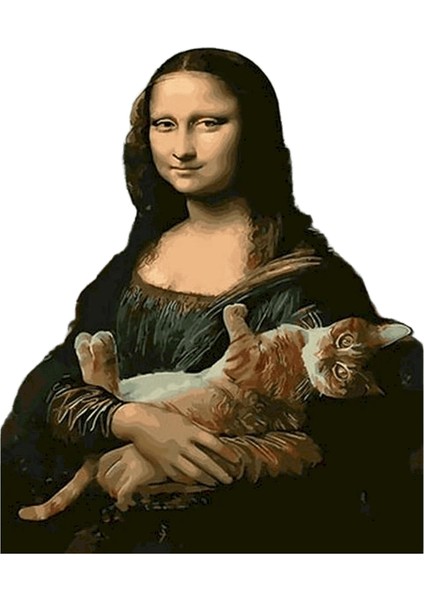 Sdoyuno Numaralara Göre Yağlı Boya Kitleri Mona Lisa ve Kedi Numaralara Göre Boyama Çerçeve 60X75CM El Boyama Dıy Ev Dekorasyonu Renk: 992414 / Boyut (Cm): 20X30CM Çerçeve Yok (Yurt Dışından)