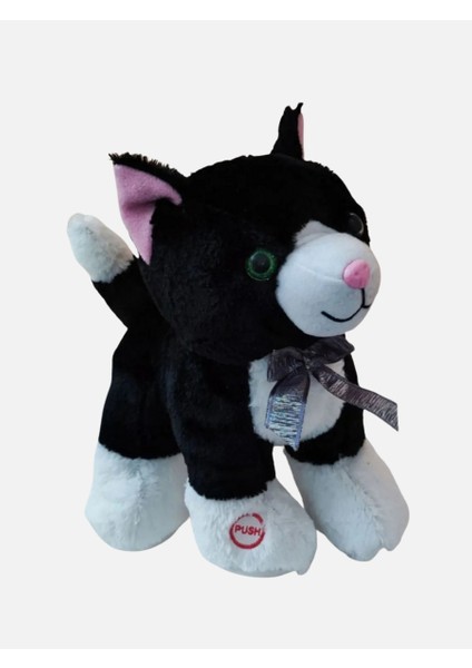 Peluş Sesli Kedi - 35CM