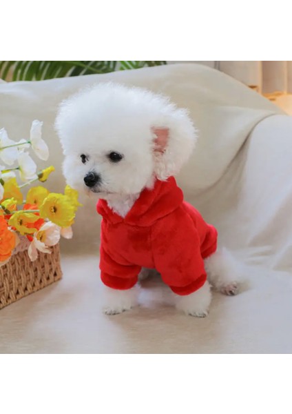 Çilek Tasarımı Kedi Köpek Polar