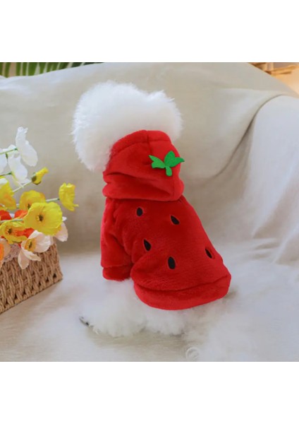 Çilek Tasarımı Kedi Köpek Polar