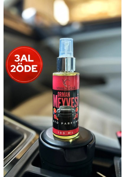 Orman Meyvesi Araba Kokusu Sprey 100 ml