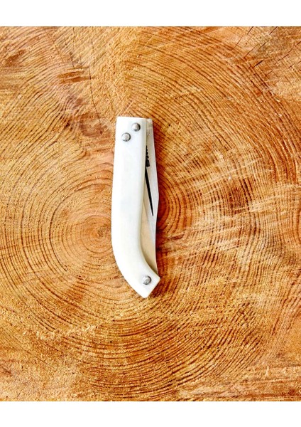 Tapan Aşı Bıçağı 21 cm Paslanmaz fiyatları