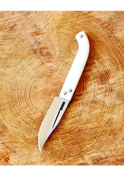 Tapan Aşı Bıçağı 21 cm Paslanmaz fırsatları