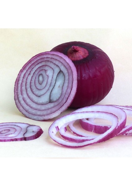 Sunagri Mor Soğan Tohumu - Uzun Gün Çeşidi Yüksek Rakımlara Uyumlu modelleri