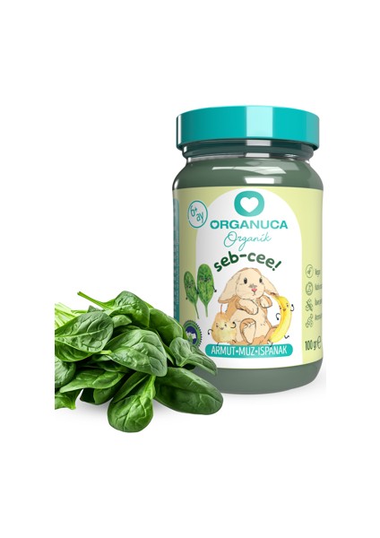 Organik Bebek Maması 3'lü x 100ML Seb-Cee indirimleri