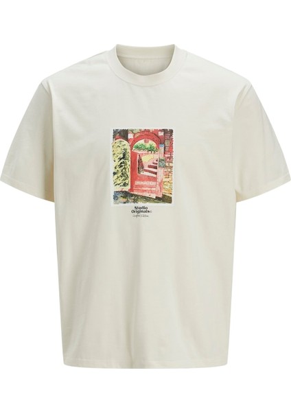 Erkek Baskılı Bisiklet Yaka T-Shirt - 12273494
