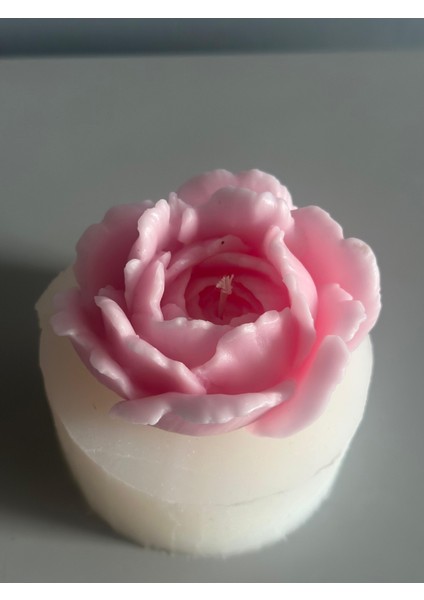 Açmış Şakayık Model Mum Silikon Kalıbı