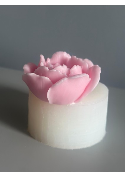 Açmış Şakayık Model Mum Silikon Kalıbı fiyatları