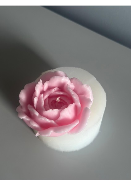 Açmış Şakayık Model Mum Silikon Kalıbı modelleri