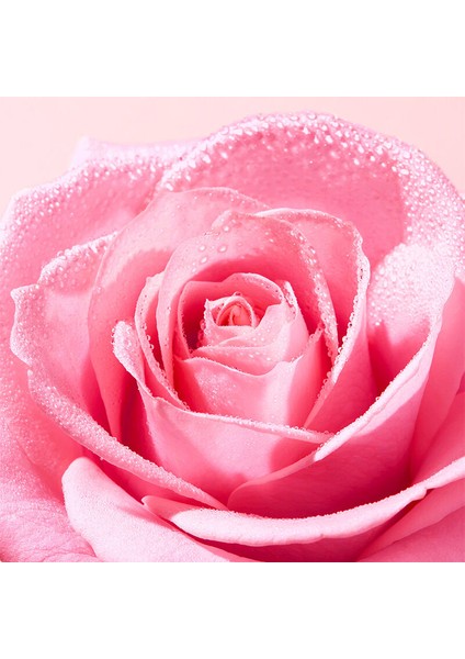 Very Rose Tazeleyici Tonik Losyon 200 ml