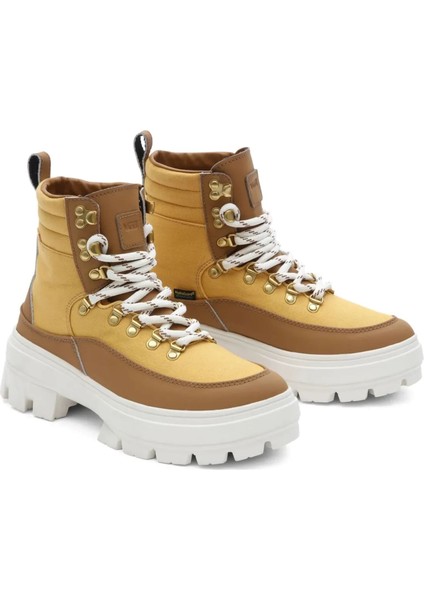Colfax Elevate Mte-2