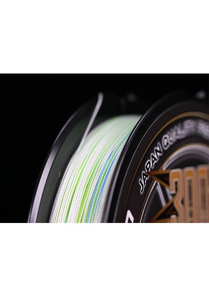 Jıgman Ultra Pe X8 300M 30LB 13.60KG 0.205 Multicolor