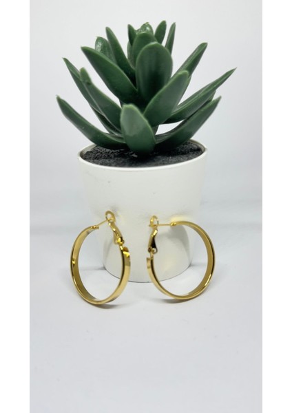 Stainless Steel Gold Kaplama Keskin Hatlı Orta Boy Halka Küpe