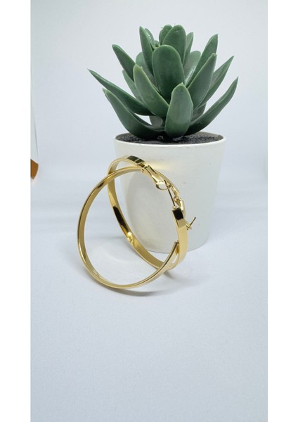 Stainless Steel Gold Kaplama Keskin Hatlı Halka Küpe