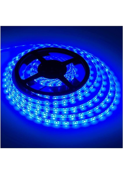 Mavi Şerit LED 12V (5 Metre)