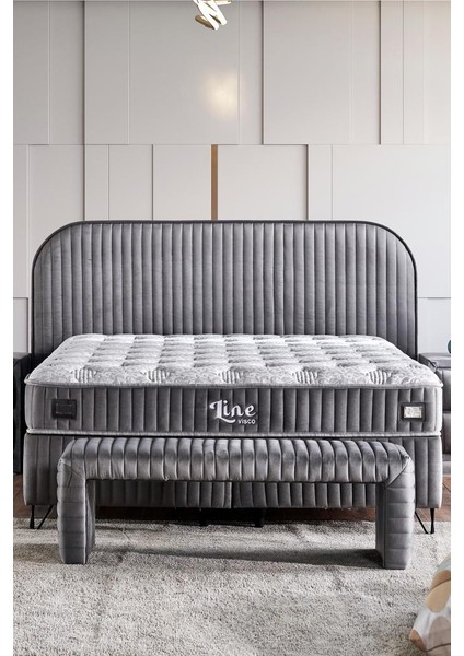 Line Visco Lüks Baza ve Başlık Seti 100X200 cm Tek Kişilik Baza ve Başlık Takımı Koyu Gri Babyface fırsatları