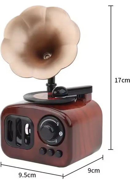 Nostaljik Radyo Görünümlü Gramofon Temalı Kurmalı Retro Müzik Kutusu Konsept Hediyelik Dekoratif Set