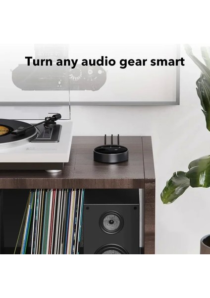 Mini Airplay2 Kablosuz Ses Aktarıcı fiyatları