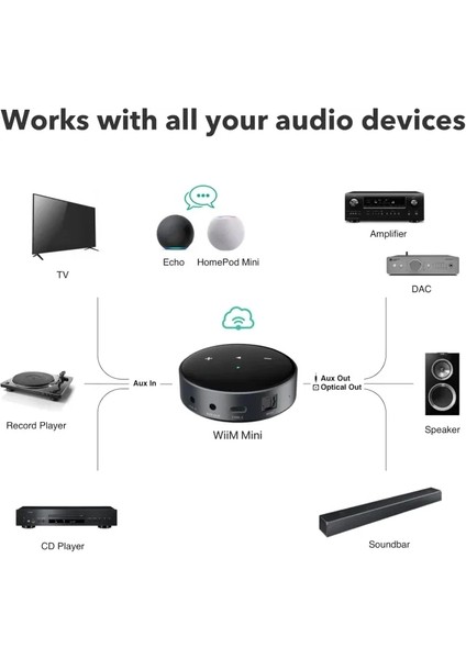 Mini Airplay2 Kablosuz Ses Aktarıcı modelleri