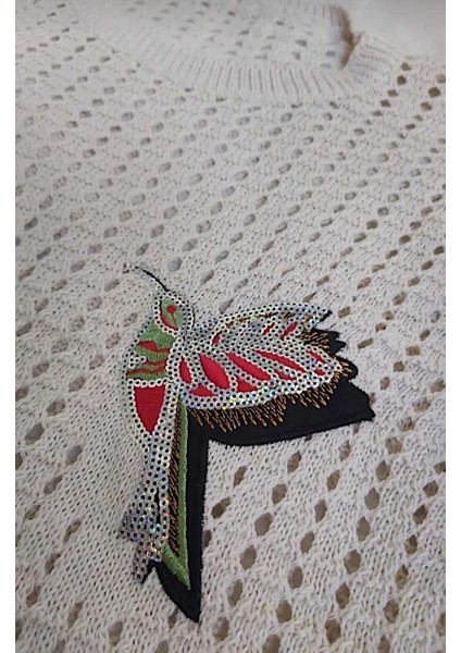 Kırık Beyaz Triko Delikli Kuş Işlemeli Standart Kadın Kazak fiyatları