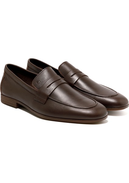 Erkek Oxford ( Klasik) 34P5 Frau Mousse Castagno fiyatları